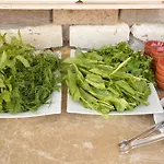 호텔 엘리트 케이브 스위트 괴레메