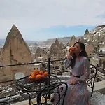 酒店 精英窑洞套房旅馆 2*